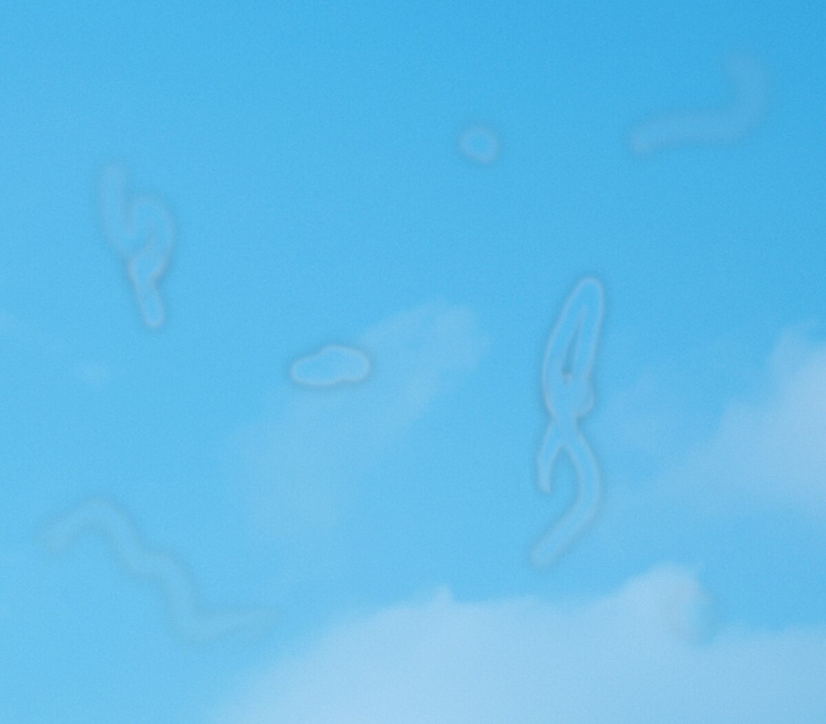 Floater Wikipedia
