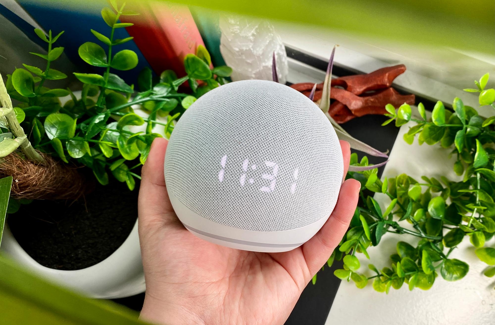 How Do You Set Up Top Amazon Dot