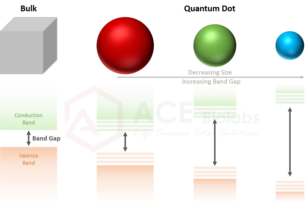 Quantum Dots Based Biosensors