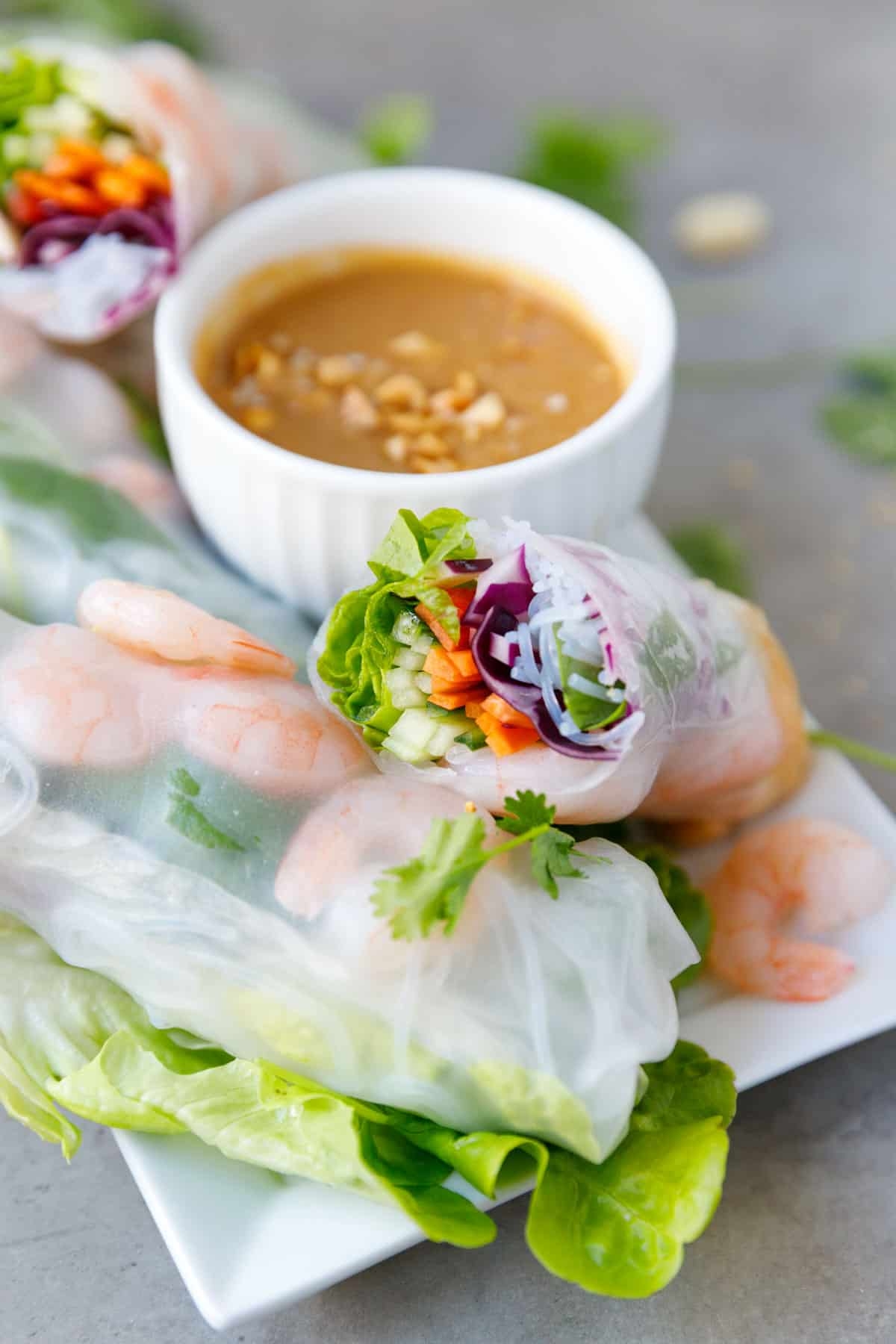 spring roll rice paper