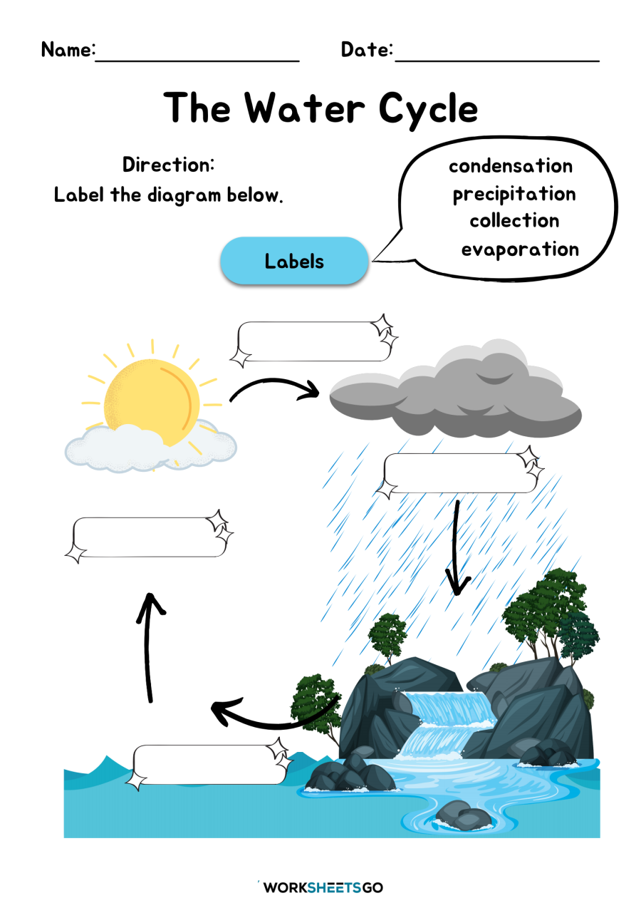 water cycle worksheet