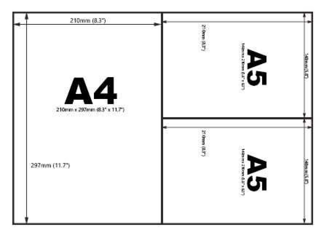 Understanding Paper Sizes Insight We Are Reeds